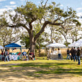 The Parking Dilemma at Culinary Events in Southeast SC